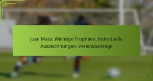 Juan Mata: Wichtige Trophäen, Individuelle Auszeichnungen, Vereinsbeiträge