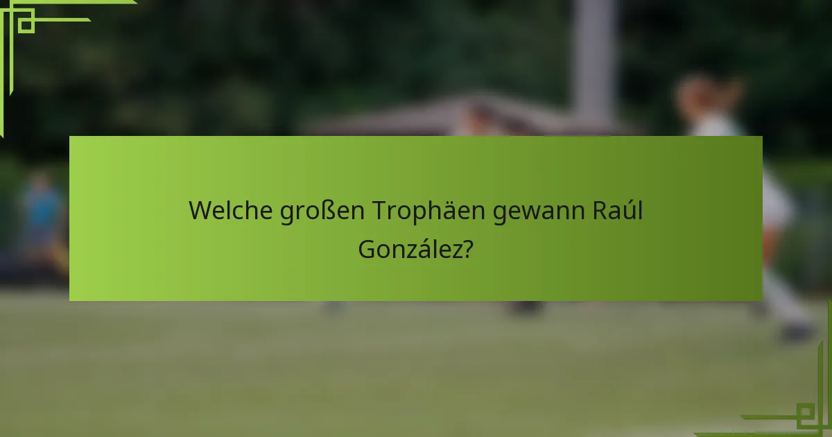 Welche großen Trophäen gewann Raúl González?