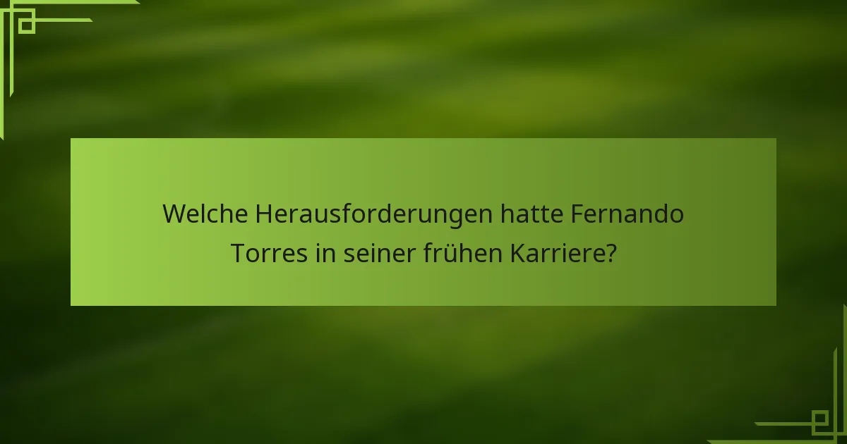 Welche Herausforderungen hatte Fernando Torres in seiner frühen Karriere?