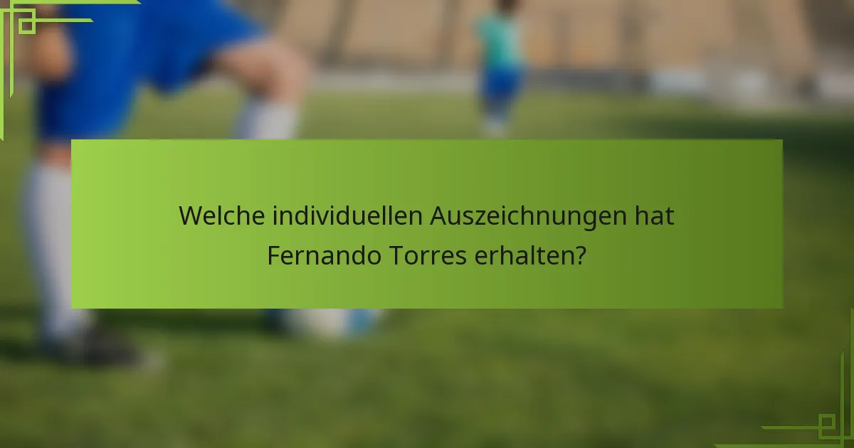 Welche individuellen Auszeichnungen hat Fernando Torres erhalten?