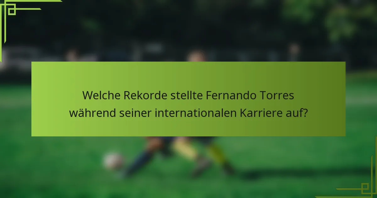 Welche Rekorde stellte Fernando Torres während seiner internationalen Karriere auf?
