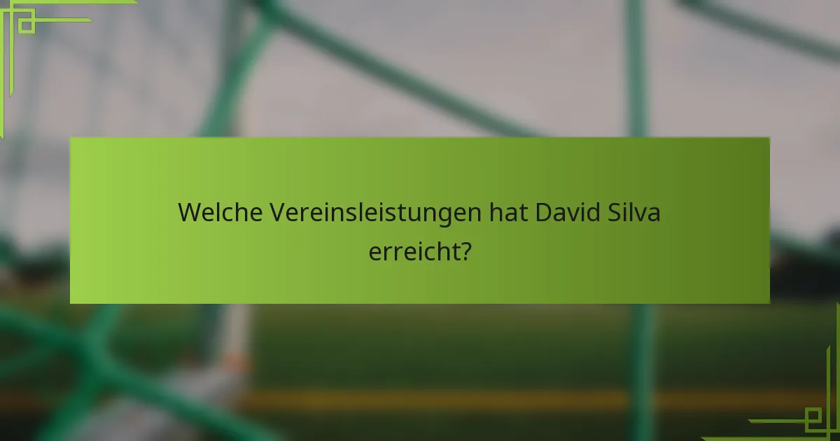 Welche Vereinsleistungen hat David Silva erreicht?