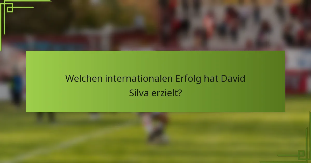 Welchen internationalen Erfolg hat David Silva erzielt?
