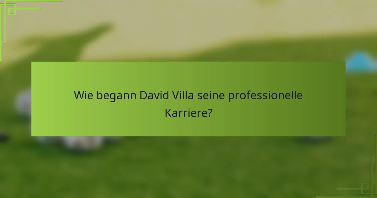 Wie begann David Villa seine professionelle Karriere?