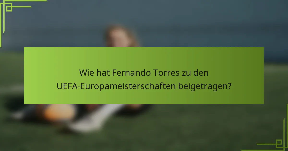 Wie hat Fernando Torres zu den UEFA-Europameisterschaften beigetragen?