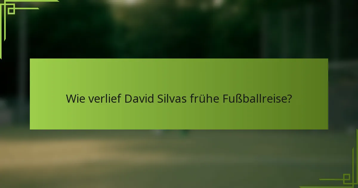 Wie verlief David Silvas frühe Fußballreise?